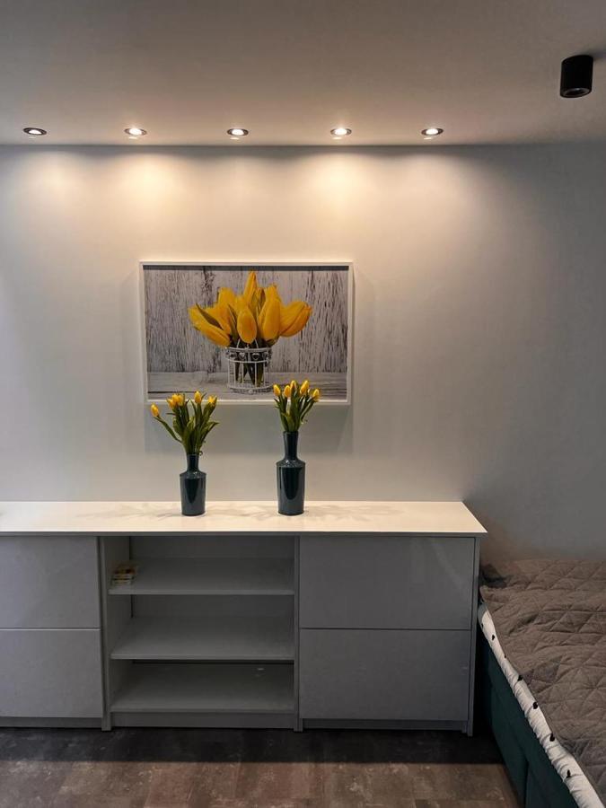 Apartment Makowy Konin